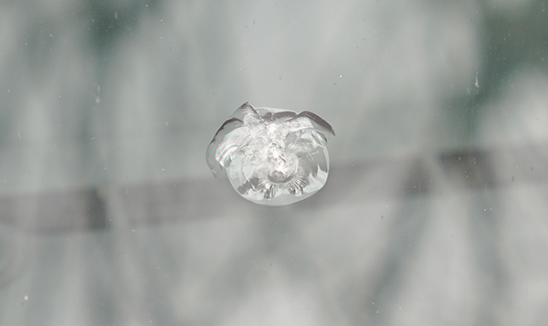 closed up shot of small bulls eye chip on windshield by Speers Auto Glass